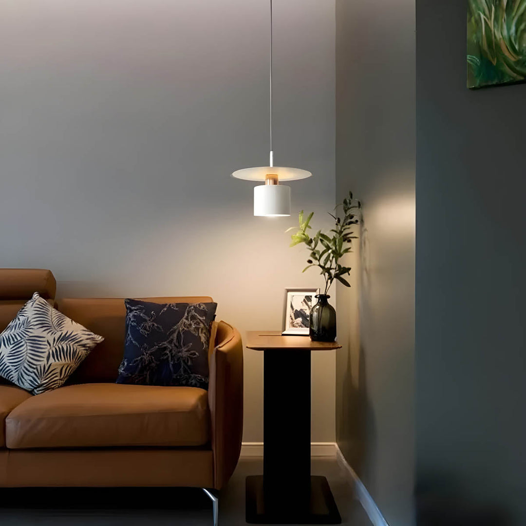 Pendant Light | Modern Minimalist Ceiling Lamp