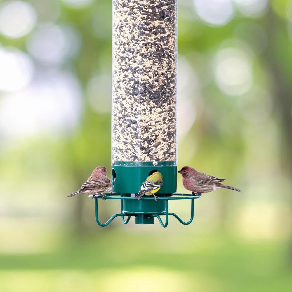 Bird Feeder Metal Squirrel Proof Hanging Outdoor Backyard Tube