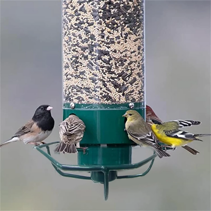 Bird Feeder Metal Squirrel Proof Hanging Outdoor Backyard Tube