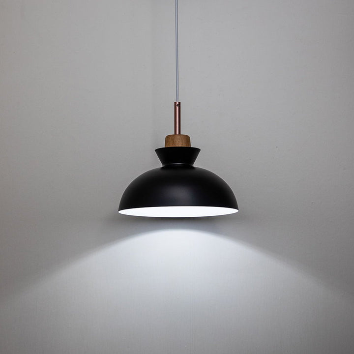 Modern Single Pendant Dome Light | Scandinavian Metal Hanging Lamp
